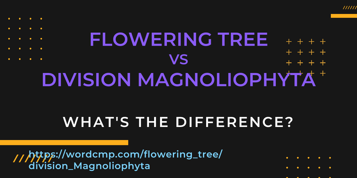 Difference between flowering tree and division Magnoliophyta