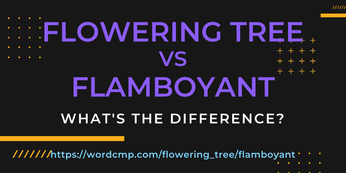 Difference between flowering tree and flamboyant