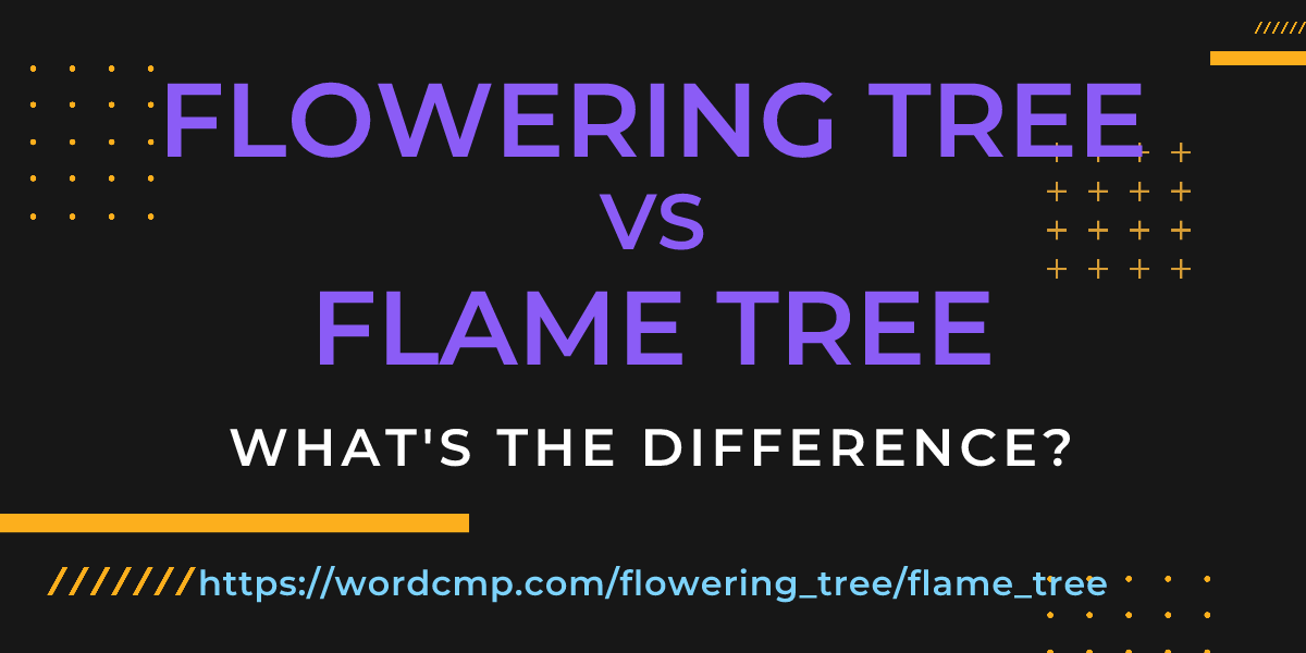 Difference between flowering tree and flame tree