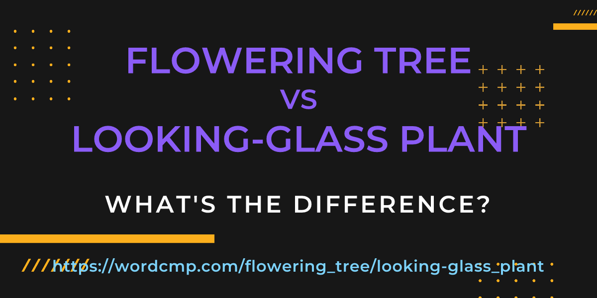 Difference between flowering tree and looking-glass plant