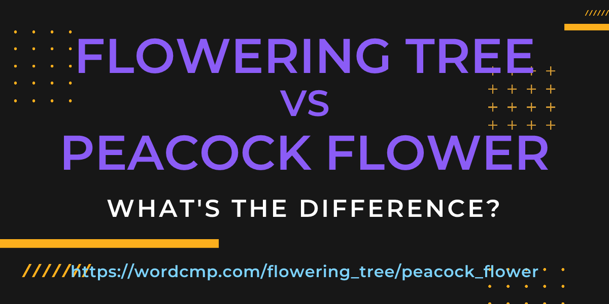 Difference between flowering tree and peacock flower