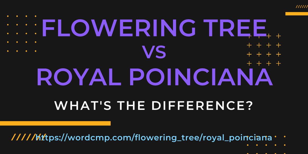 Difference between flowering tree and royal poinciana