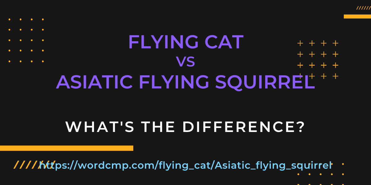 Difference between flying cat and Asiatic flying squirrel