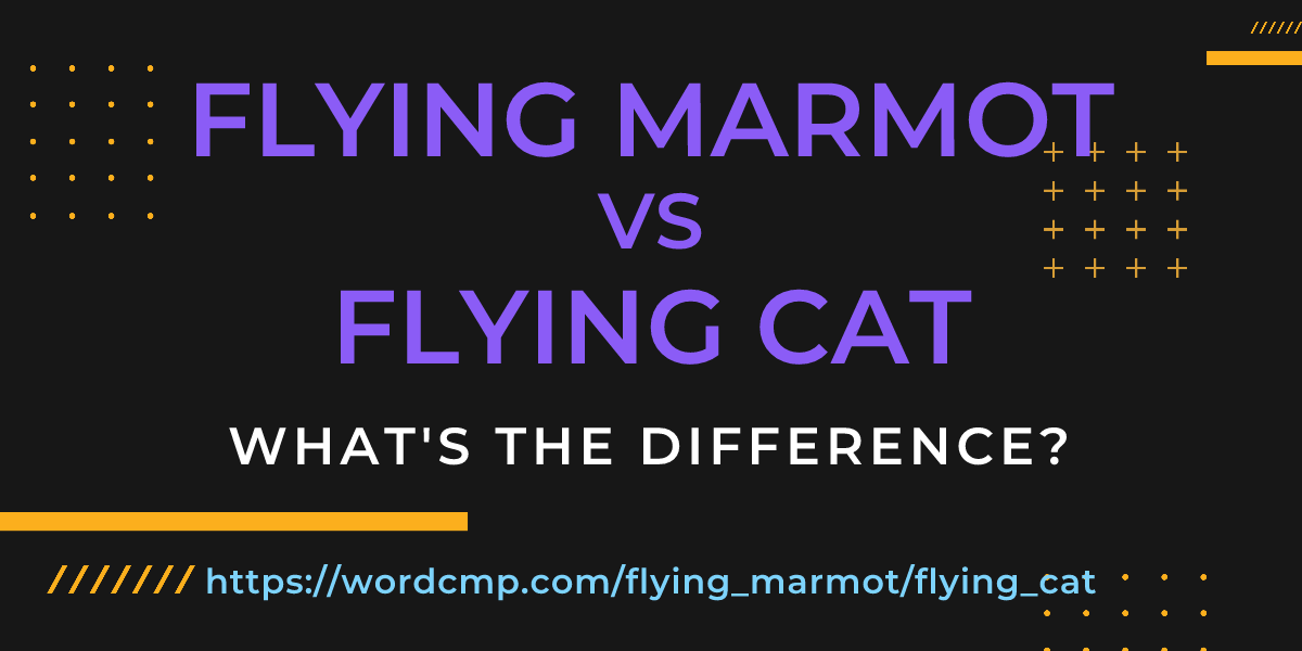 Difference between flying marmot and flying cat
