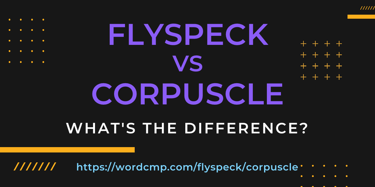 Difference between flyspeck and corpuscle
