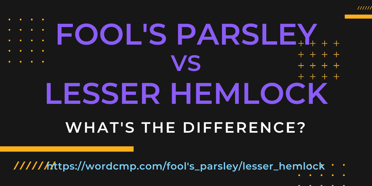 Difference between fool's parsley and lesser hemlock