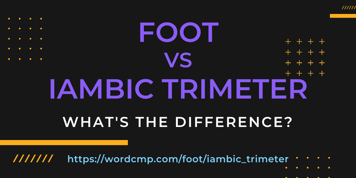 Difference between foot and iambic trimeter