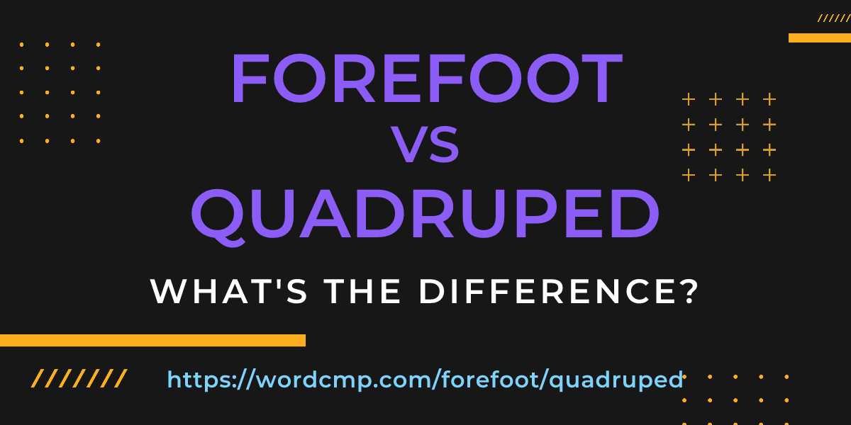 Difference between forefoot and quadruped