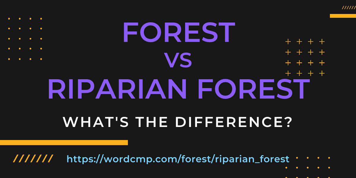 Difference between forest and riparian forest