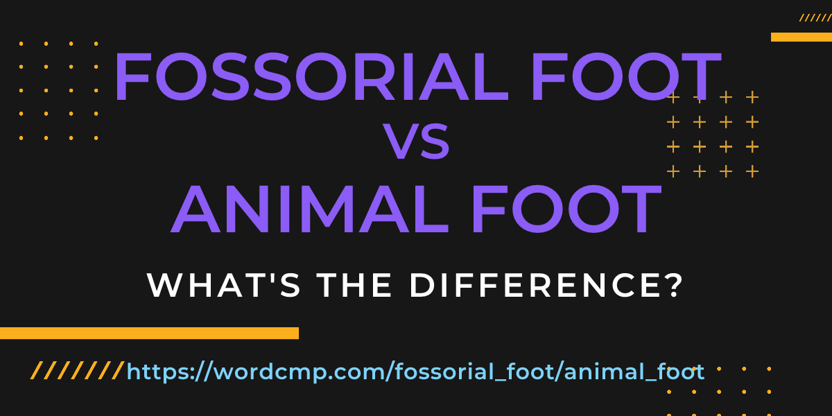 Difference between fossorial foot and animal foot