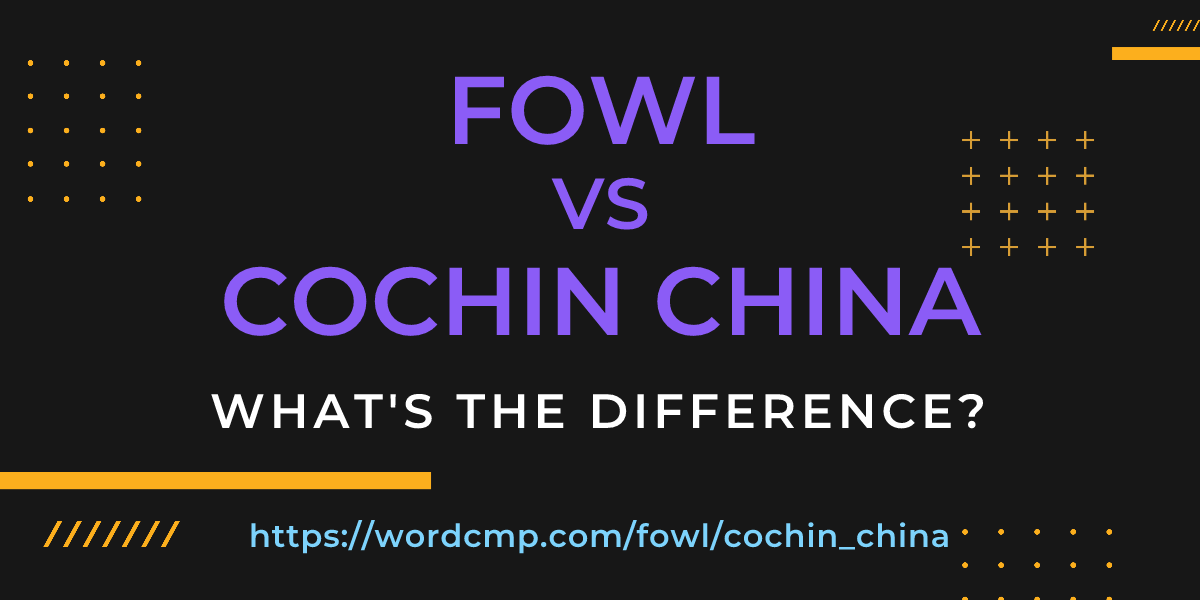 Difference between fowl and cochin china