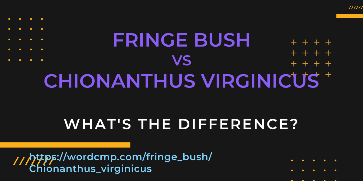 Difference between fringe bush and Chionanthus virginicus