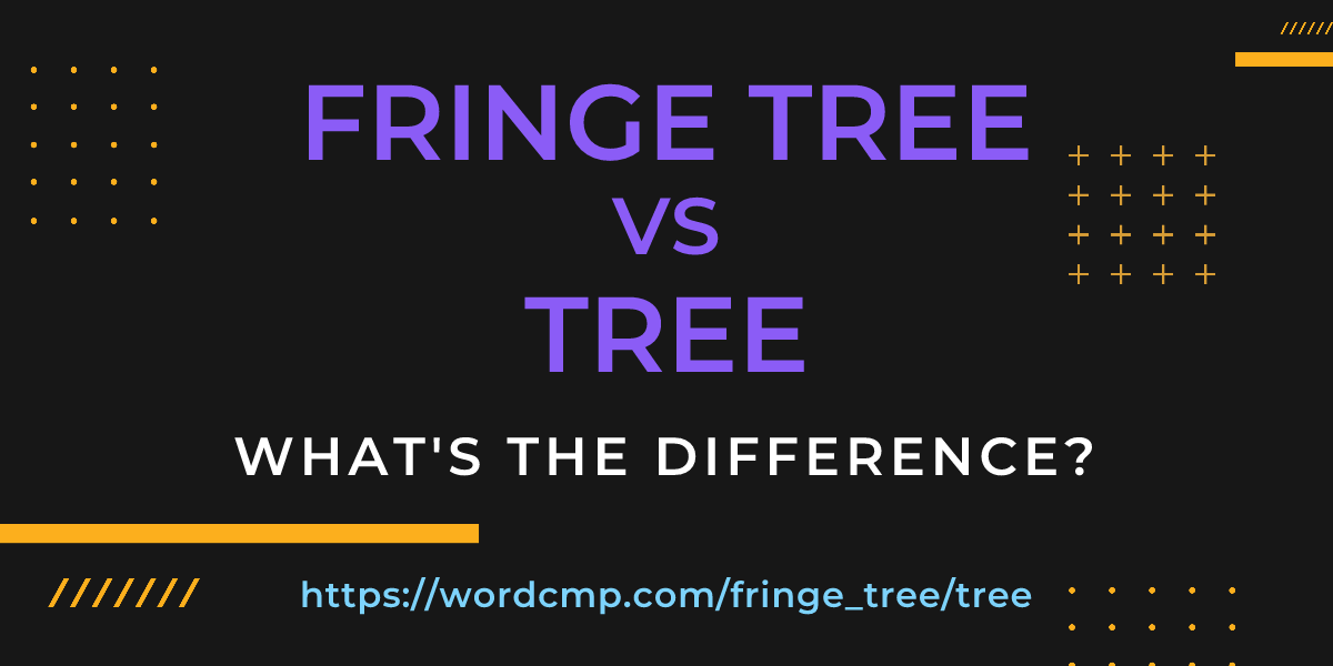 Difference between fringe tree and tree