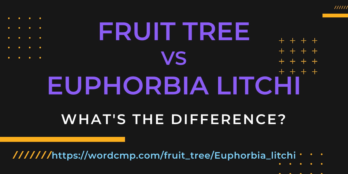 Difference between fruit tree and Euphorbia litchi