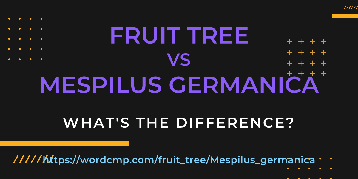 Difference between fruit tree and Mespilus germanica