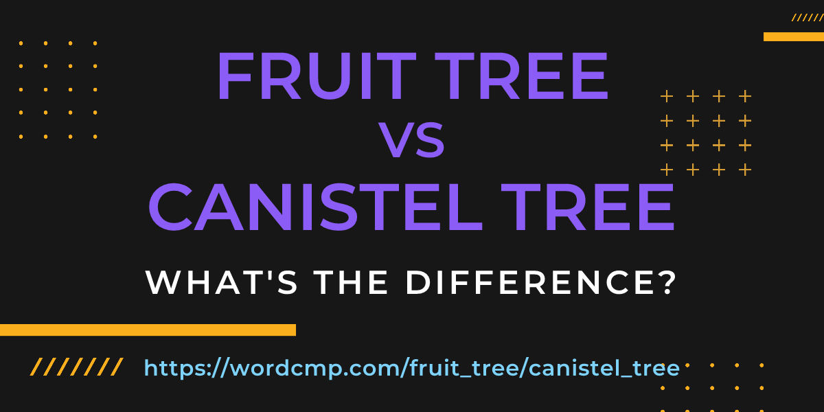Difference between fruit tree and canistel tree