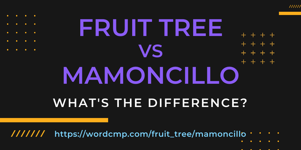 Difference between fruit tree and mamoncillo
