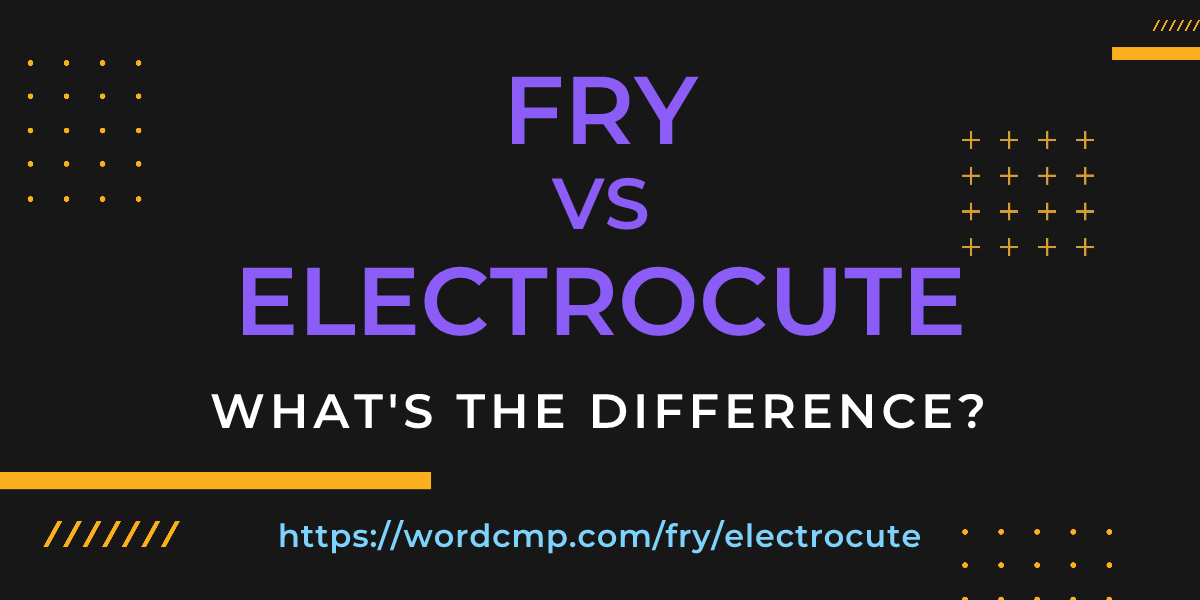 Difference between fry and electrocute