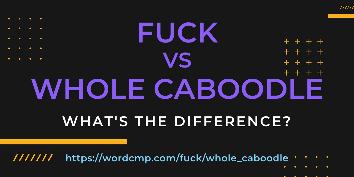 Difference between fuck and whole caboodle