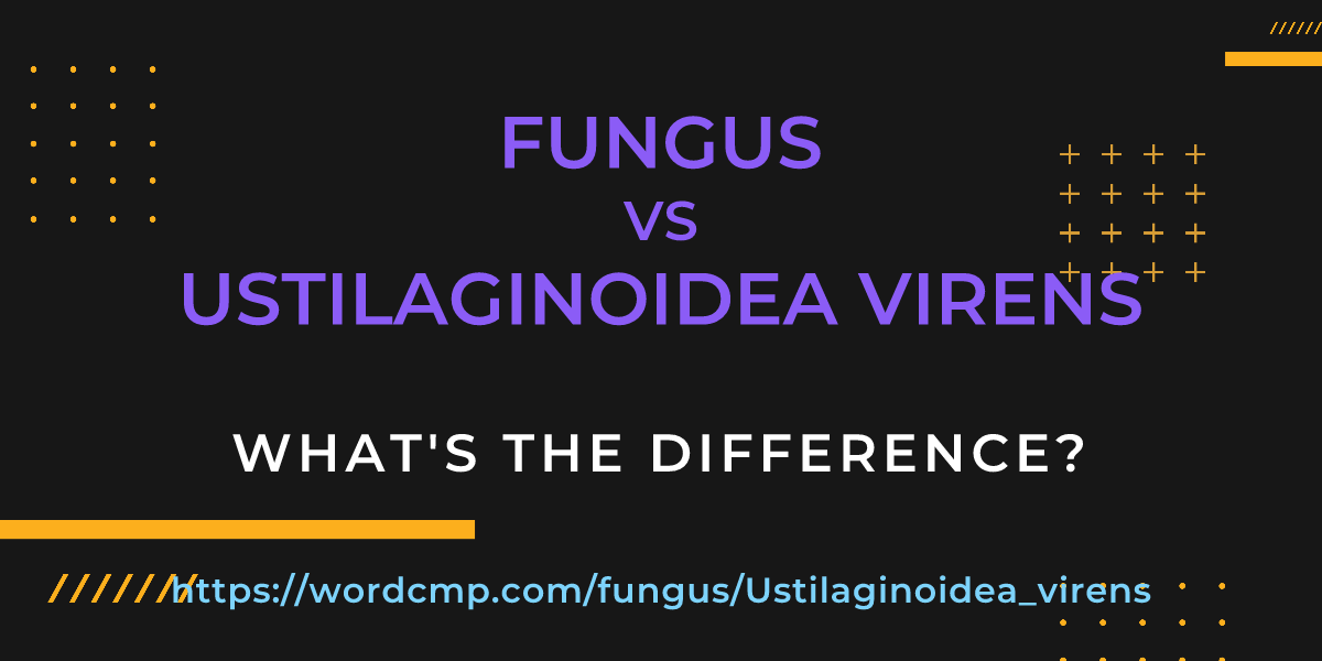 Difference between fungus and Ustilaginoidea virens