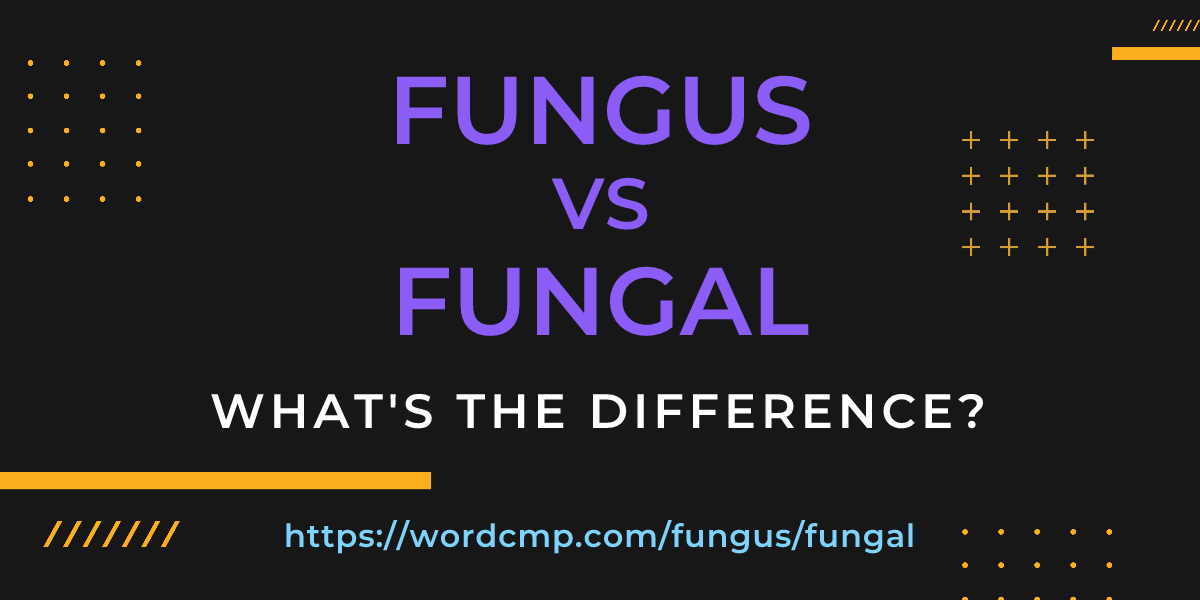 Difference between fungus and fungal