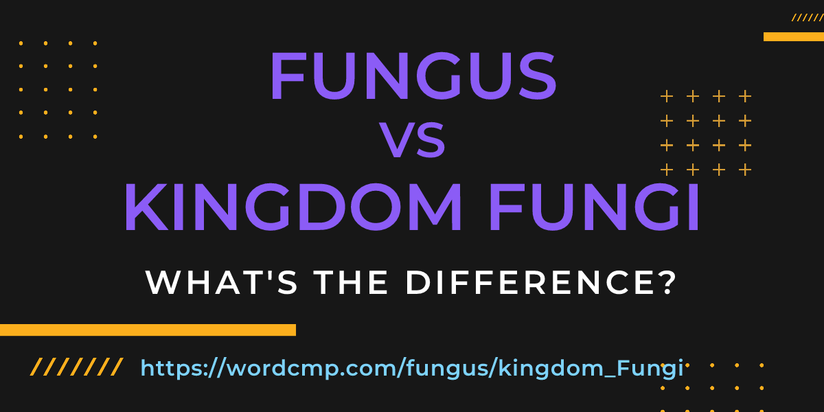 Difference between fungus and kingdom Fungi