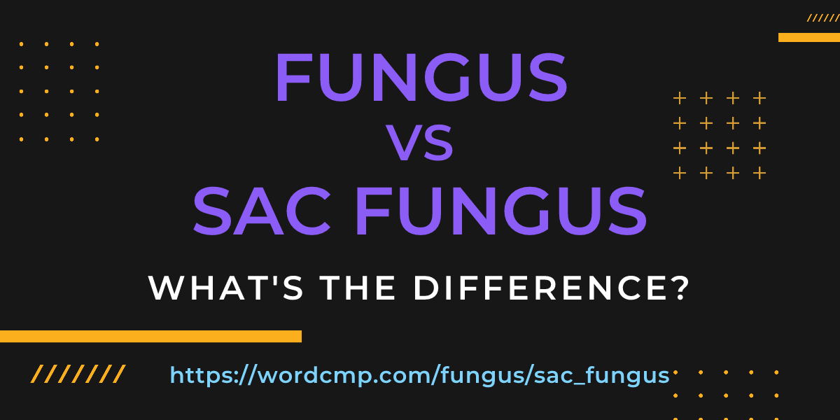 Difference between fungus and sac fungus