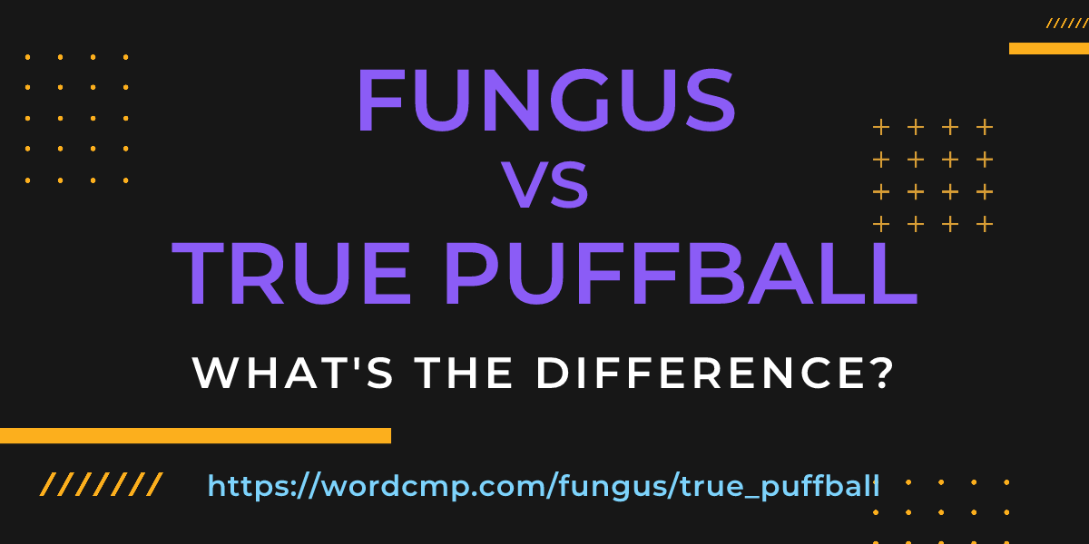 Difference between fungus and true puffball