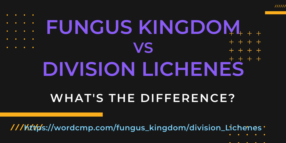 Difference between fungus kingdom and division Lichenes