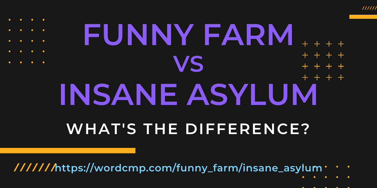 Difference between funny farm and insane asylum