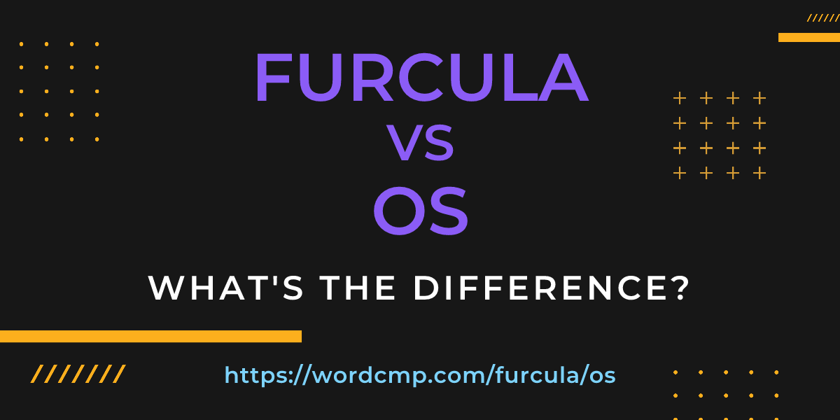 Difference between furcula and os