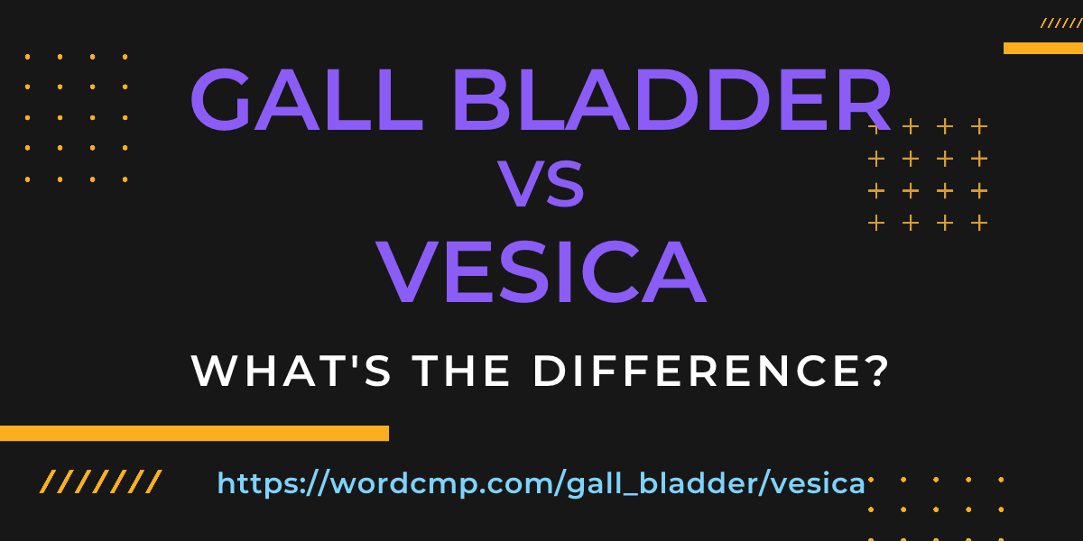 Difference between gall bladder and vesica