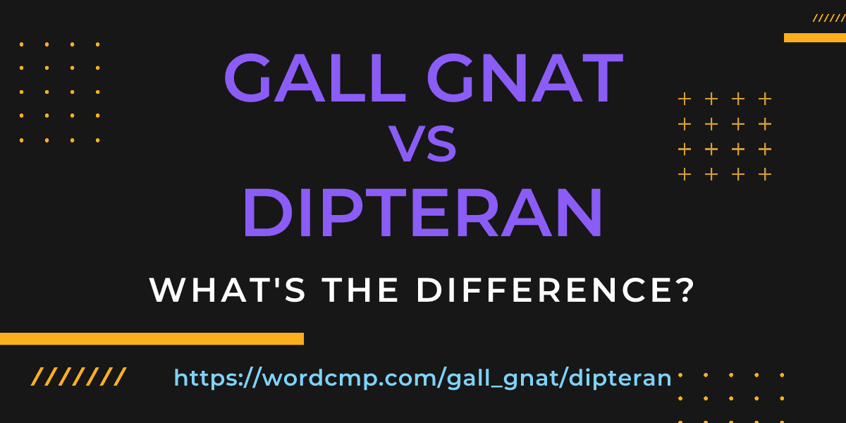 Difference between gall gnat and dipteran
