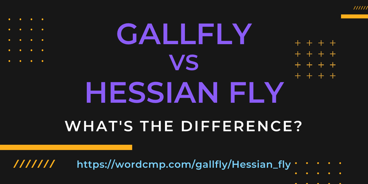 Difference between gallfly and Hessian fly