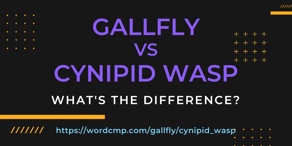 Difference between gallfly and cynipid wasp