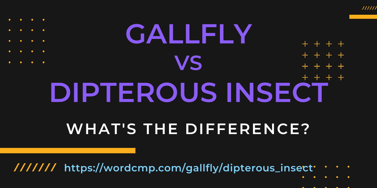 Difference between gallfly and dipterous insect
