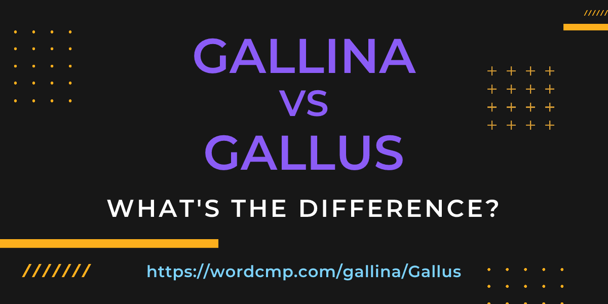 Difference between gallina and Gallus