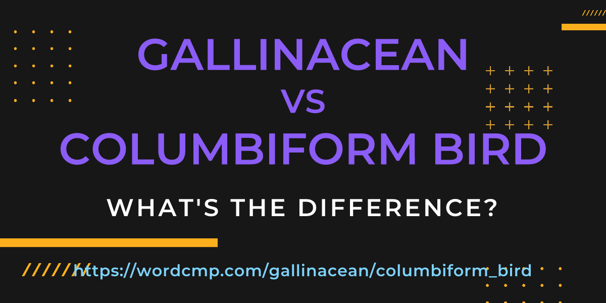 Difference between gallinacean and columbiform bird