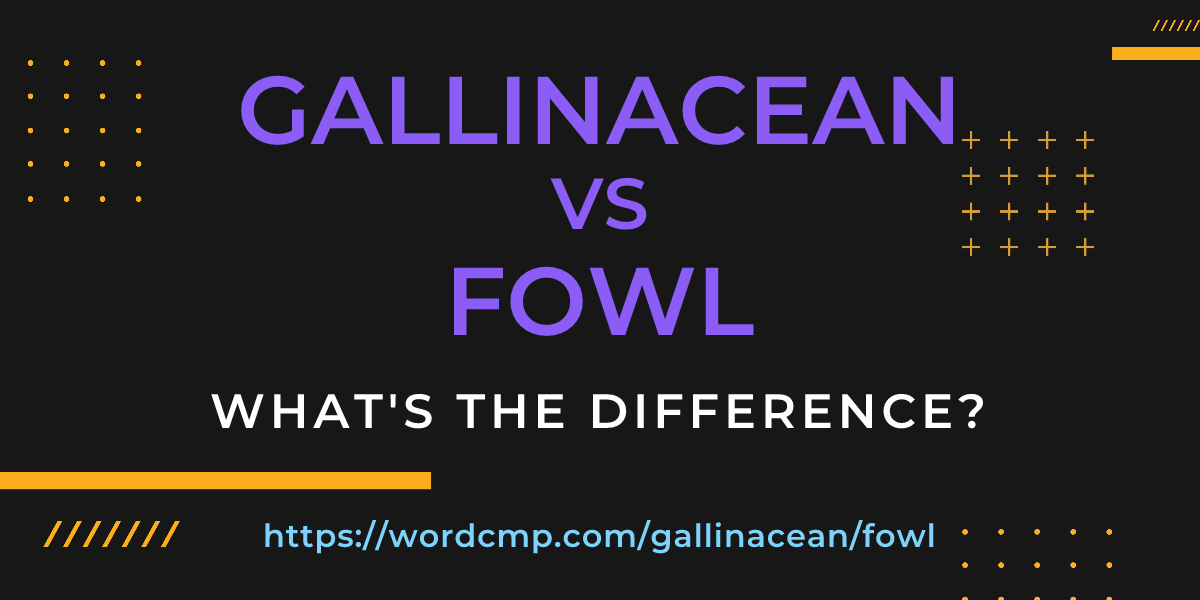 Difference between gallinacean and fowl
