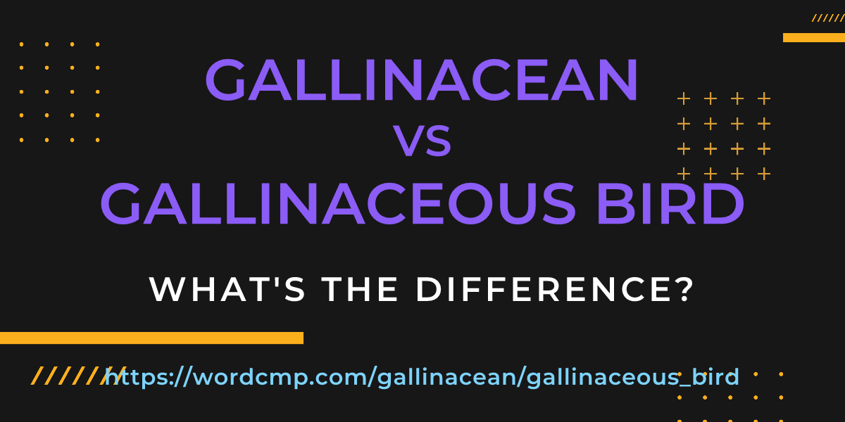 Difference between gallinacean and gallinaceous bird