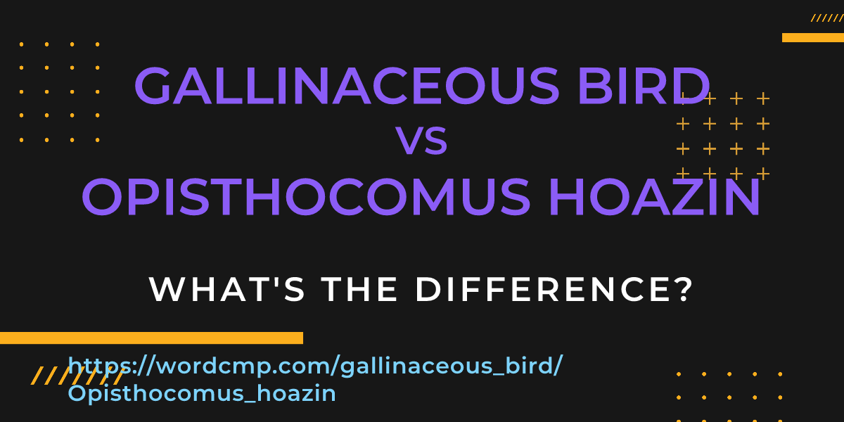 Difference between gallinaceous bird and Opisthocomus hoazin