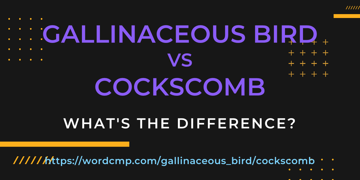 Difference between gallinaceous bird and cockscomb