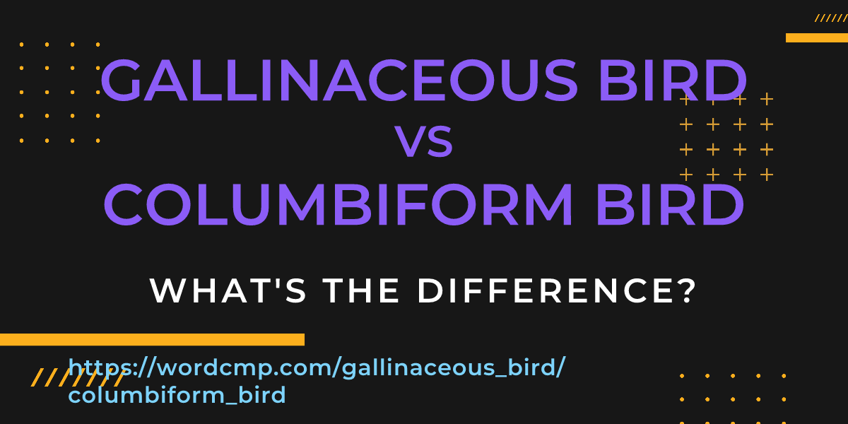 Difference between gallinaceous bird and columbiform bird