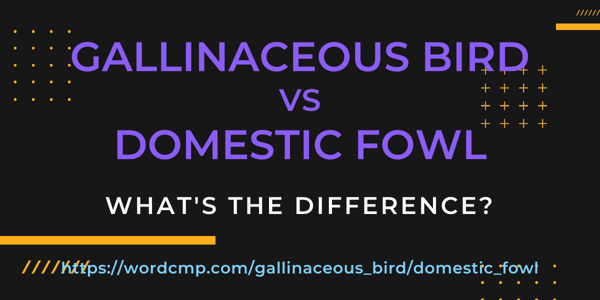 Difference between gallinaceous bird and domestic fowl