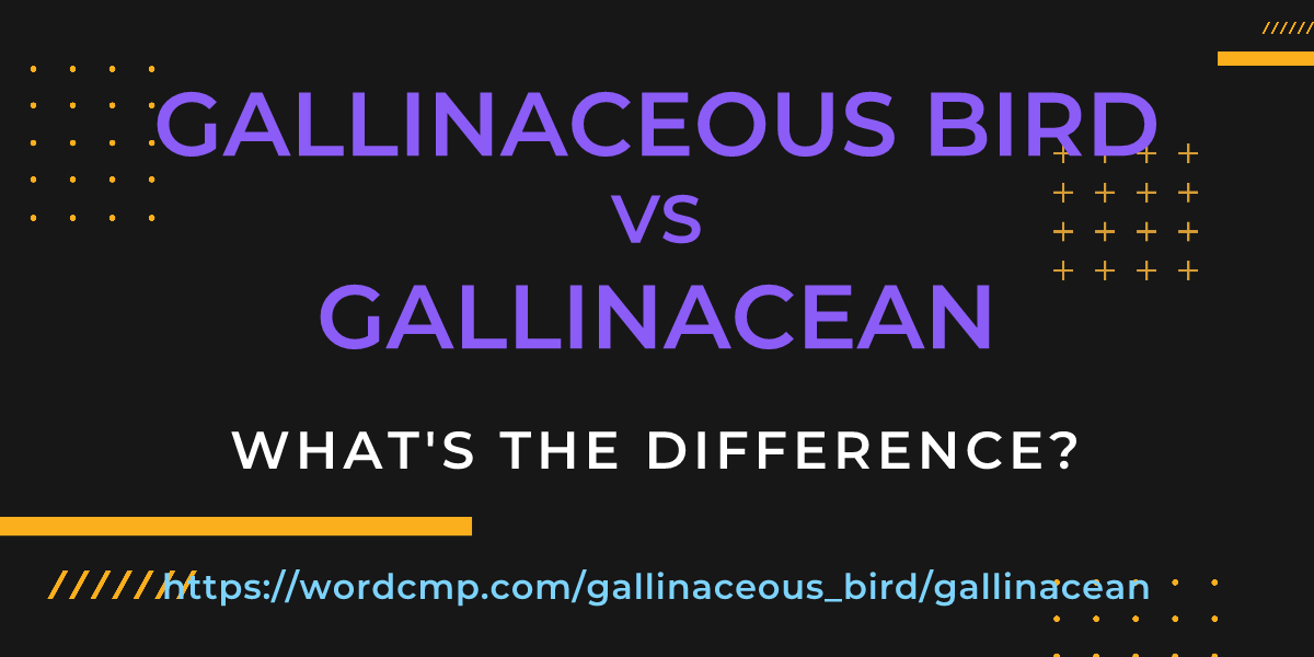 Difference between gallinaceous bird and gallinacean