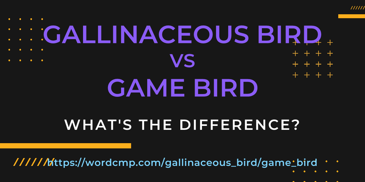 Difference between gallinaceous bird and game bird