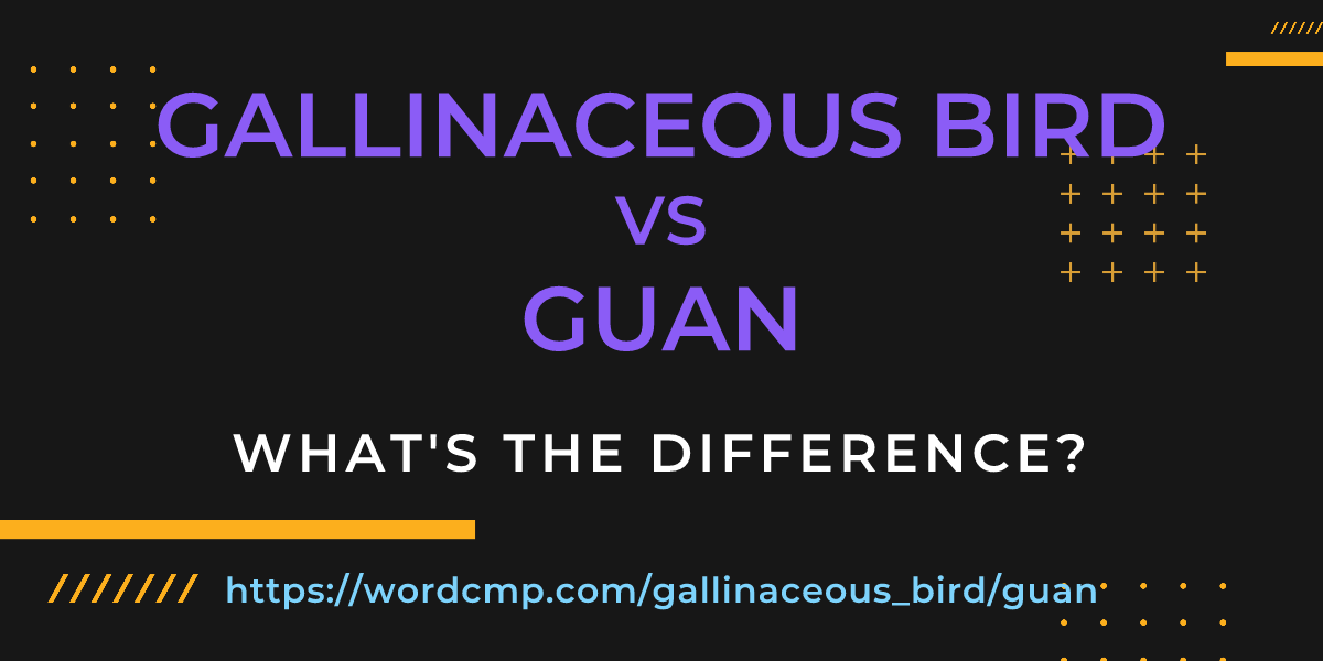 Difference between gallinaceous bird and guan
