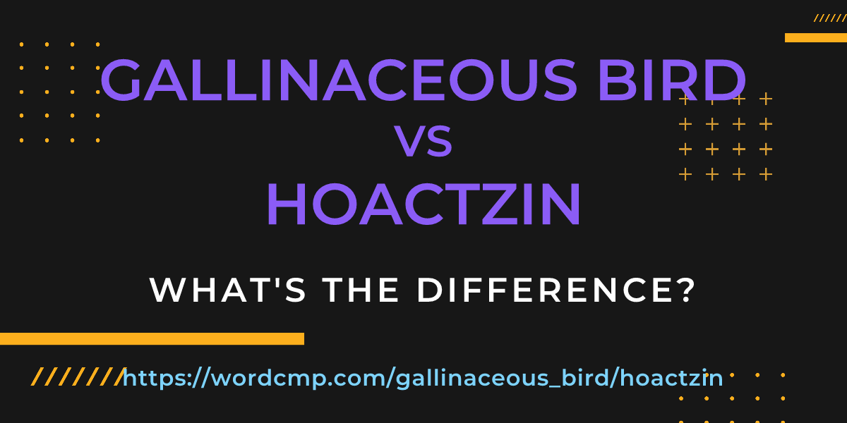 Difference between gallinaceous bird and hoactzin