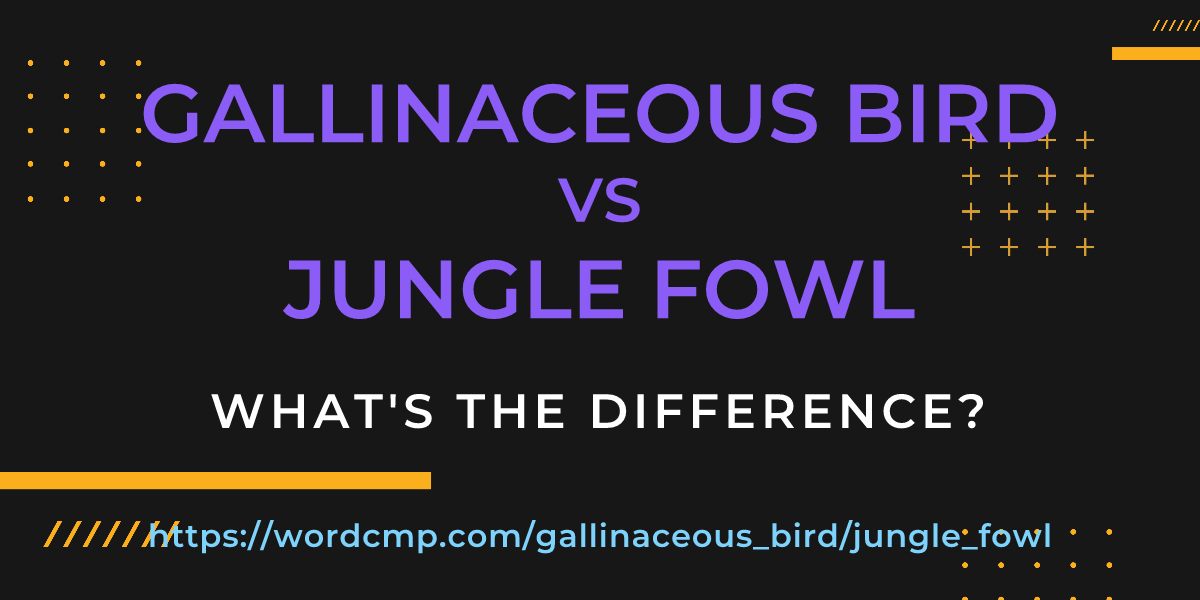 Difference between gallinaceous bird and jungle fowl