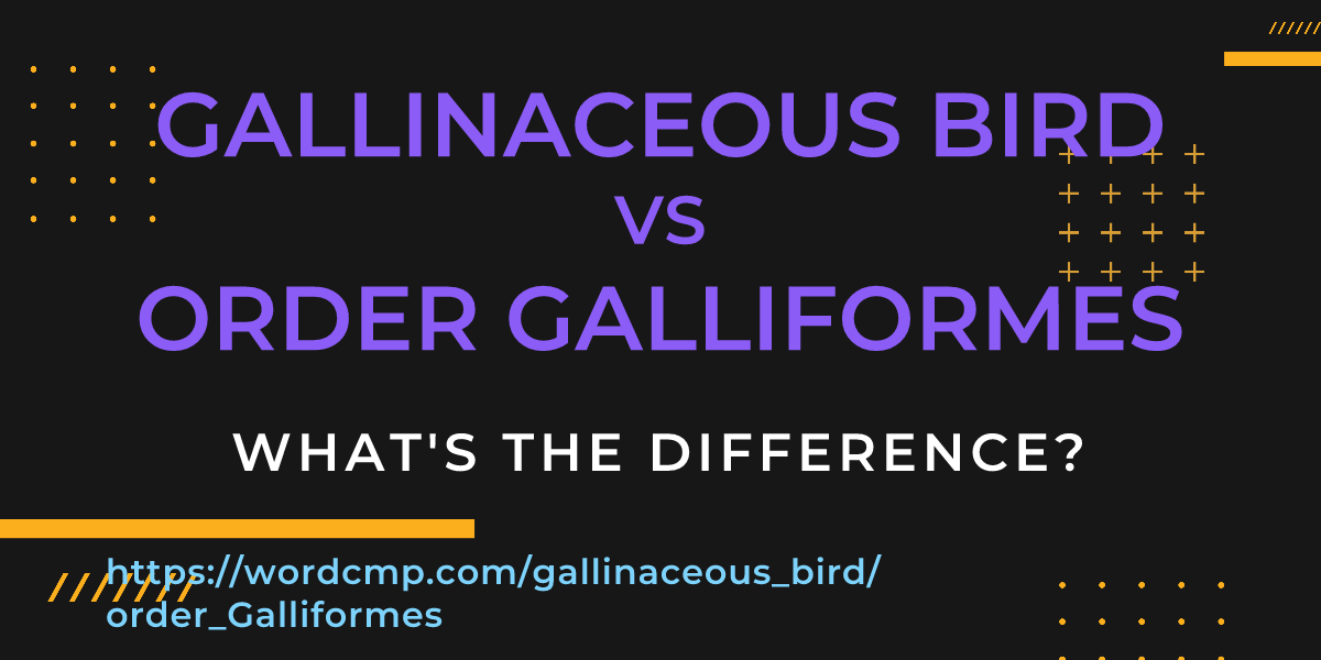 Difference between gallinaceous bird and order Galliformes